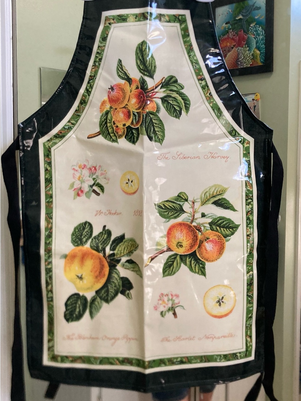 Botanical Fruit Apron. green & Cream - Classic Kitchen Linen. PVC coated cotton